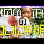 【梅澤美波】【謎の魚】あの魚は一体何…？ホントは○○○でした！【梅澤美波】【築地】