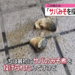 【ニュース】【札幌】隣の家の庭にバナナの皮を置いた男を逮捕  [haru★]