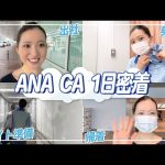 【その他】【動画】ANAのCAの密着動画可愛すぎる！このレベルが風俗に流れてくるぞ！