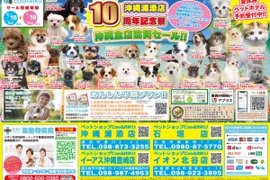 【日常・雑談・VIP系】犬か猫を飼いたいんやがオススメはどれや？