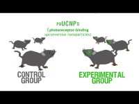 【科学・テクノロジー】【技術】目にナノ粒子を注入して暗視能力を手に入れる実験に成功