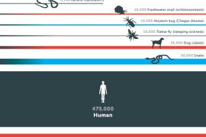 【動物・いきもの】【悲報】ケニアのマラソン選手、練習中にカバに襲われ大ケガ